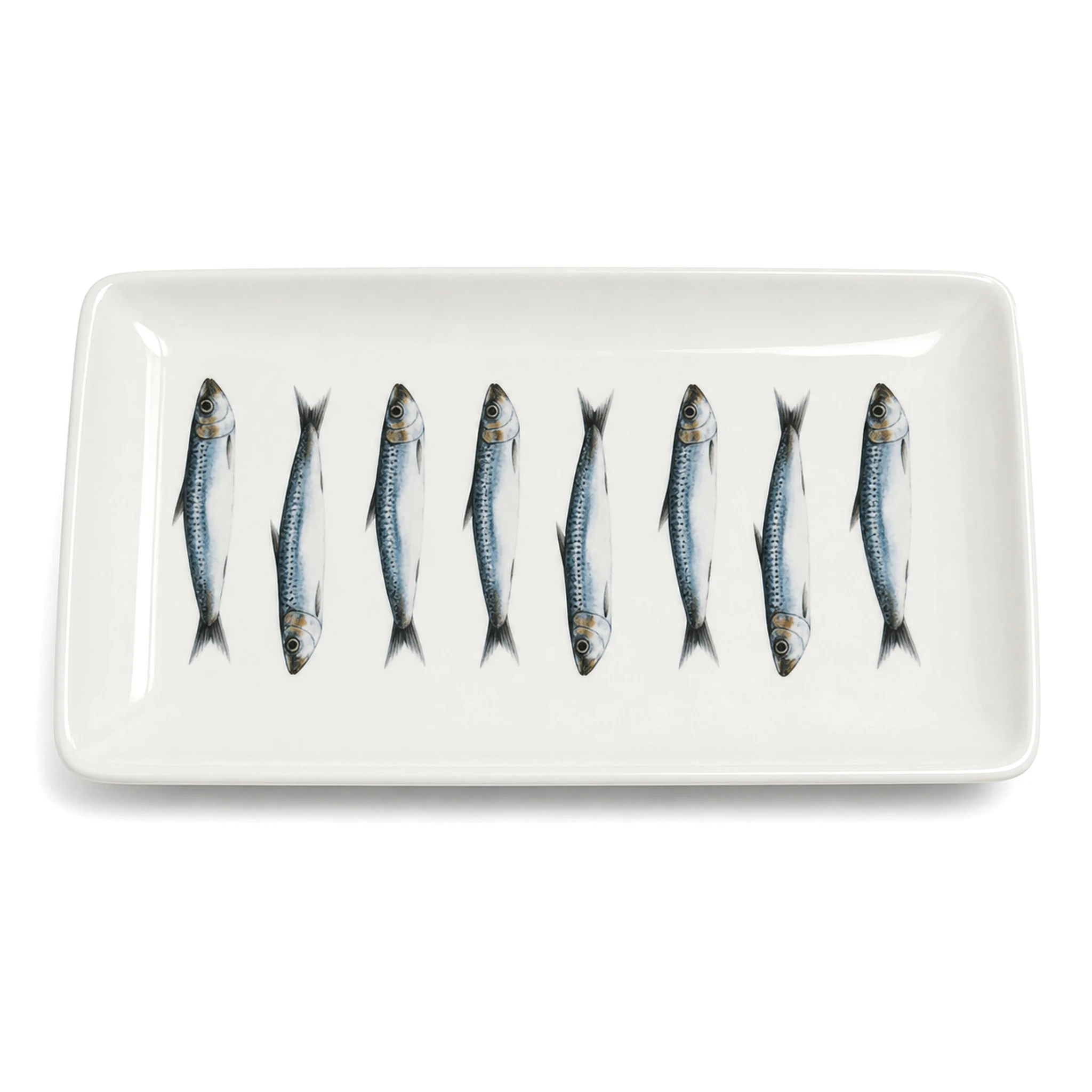 Square Plate — White & Blue · LUM-TW-002942-SAU-01 — catalog product view