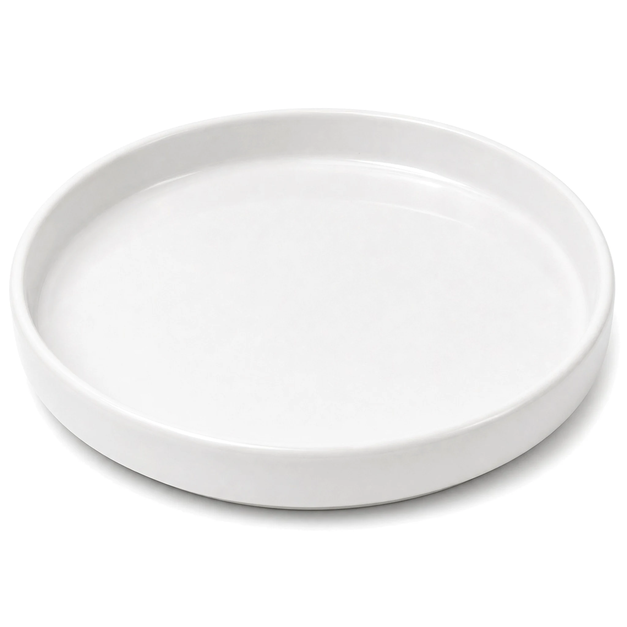10″ Flat Plate — White · LUM-TW-002132-SAU-01 — catalog product view
